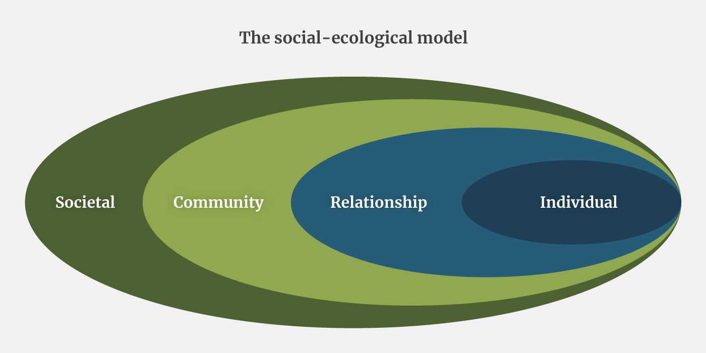 Societal, community, relationship, and individual sections in overlapping ovals
