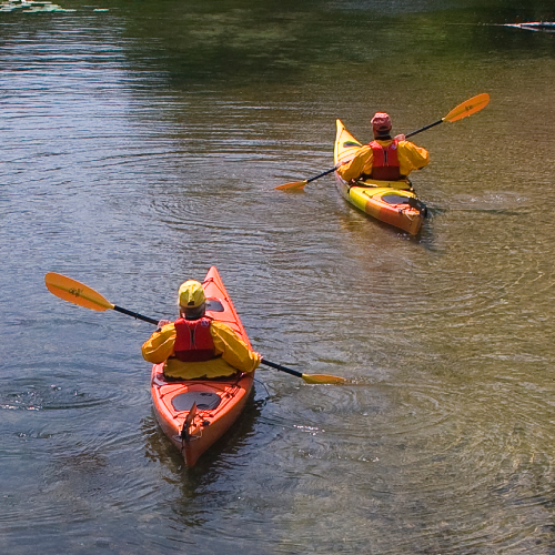 Two people kayaking on a river