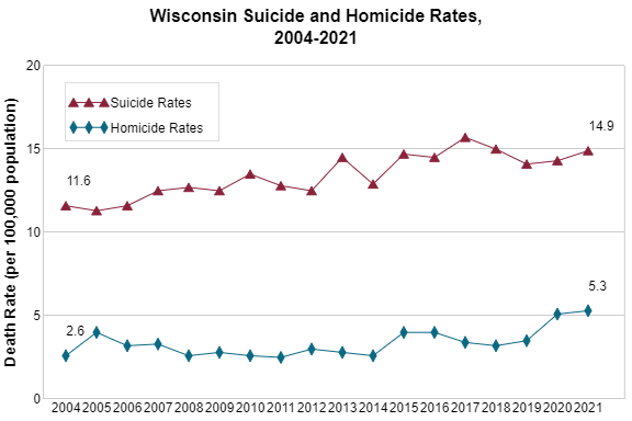 Wisconsin Suicide and Homicide Rates, 2004 - 2013
