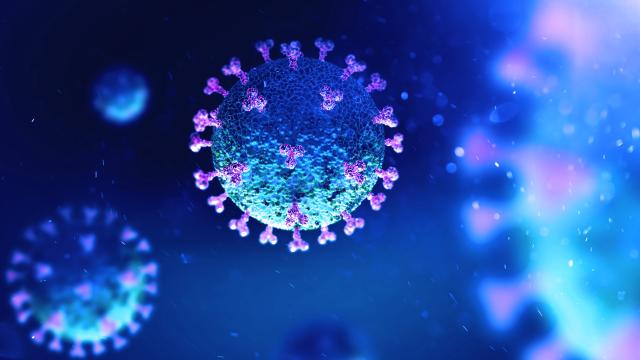 Coronavirus under a microscope