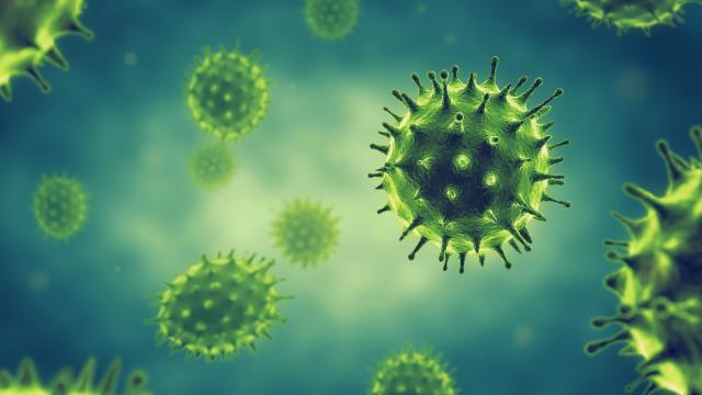 Illustration of influenza virus cells