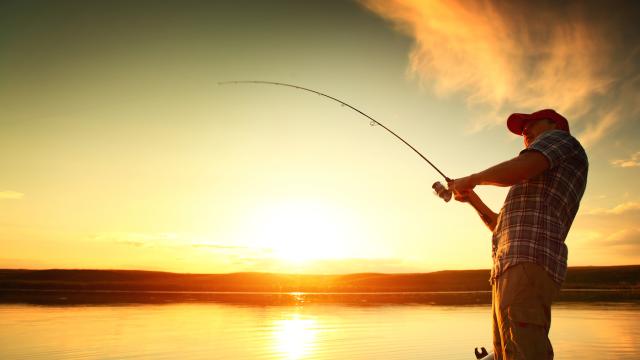 Adult reels in a fish while the sun sets (or rises) on a lake