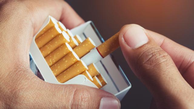 Hand holding a pack of cigarettes