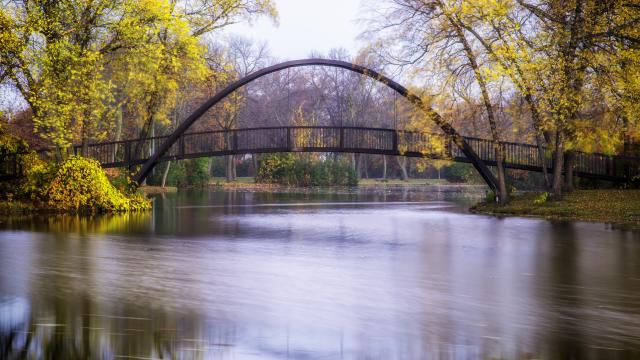 Tenney park arched bridge in the fall