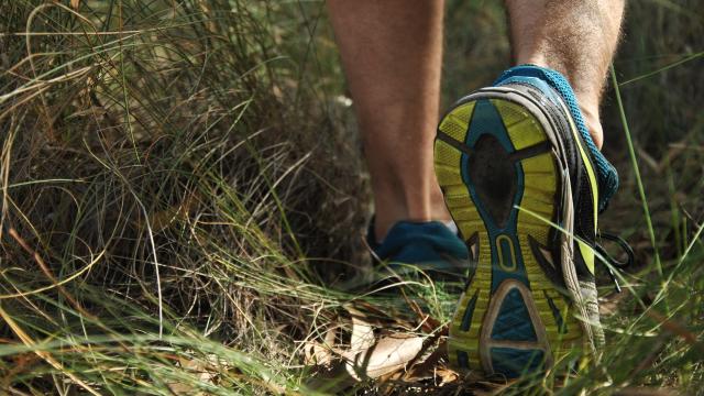 A pair of runner shoes walking through tall grasses