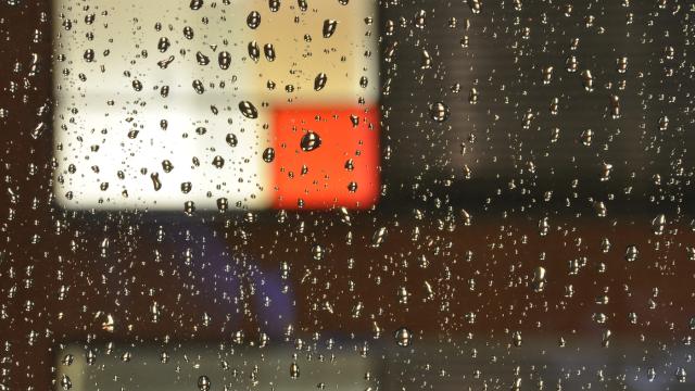 Rain drops on a window