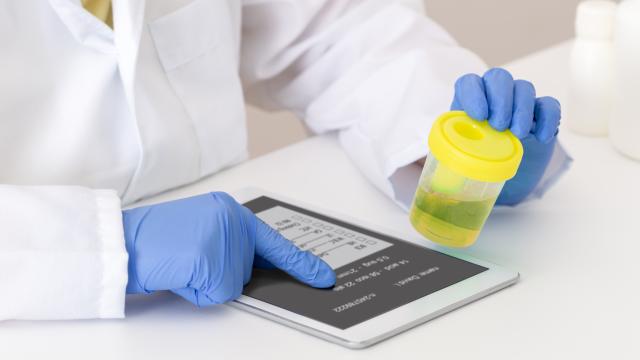 Person entering a urine sample on a tablet