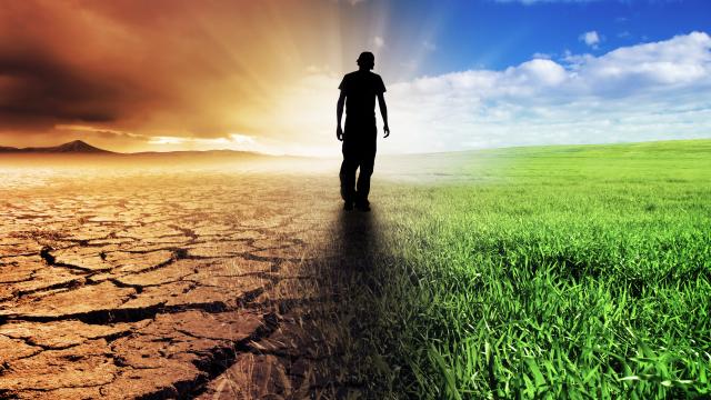 Climate change before (desert) and after (lush grass) with a silhouette of a person in between