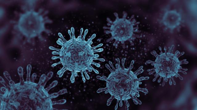 Illustration of Coronavirus-2019 ncov flu