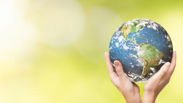 Hands holding a globe