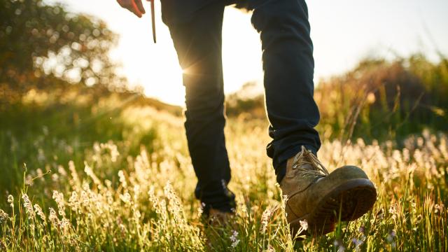 A pair of hiker boots walking in the meadow with sun shining behind