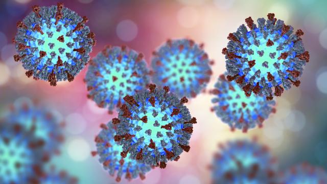 3D graphic of the Measles virus