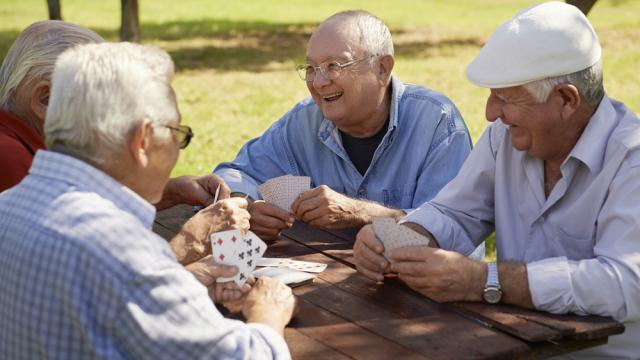 Four senior citizens playing cards in a park
