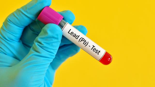 Gloved hand holding blood sample in a test tube for a lead test