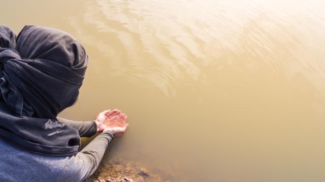 Hands of an adult cupping dirty water.