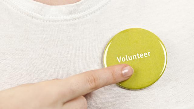 A finger pointing to a green button with word, volunteer pinned on a shirt