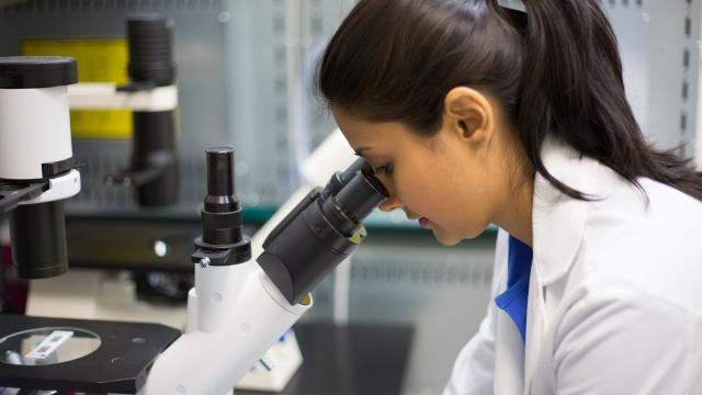 A lab tech peers thru a microscope