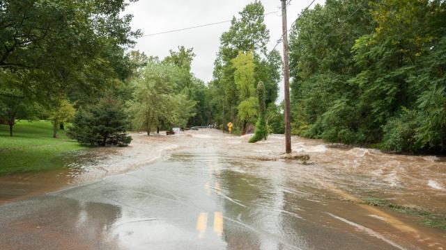 A flooded road in the country.