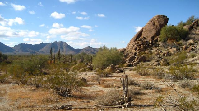 Arizona Desert