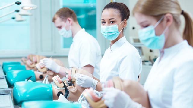 Students with dental manikins