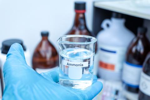 Gloved hand holding a beaker of ammonia in a lab