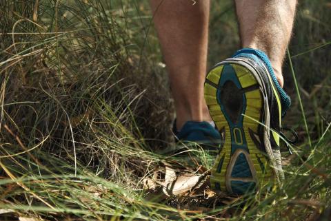 A pair of runner shoes walking through tall grasses