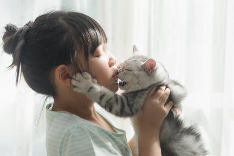 Child kissing a cat on the nose