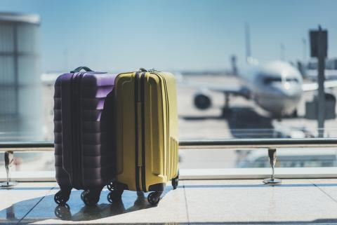 Two wheeled suitcases and a blurred airplane in background.