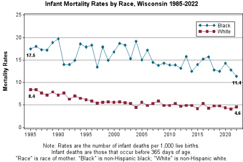 Chart displaying infant mortality rates by race in Wisconsin