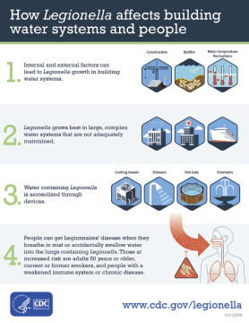 Workflow chart showing how Legionella affects building water systems and people