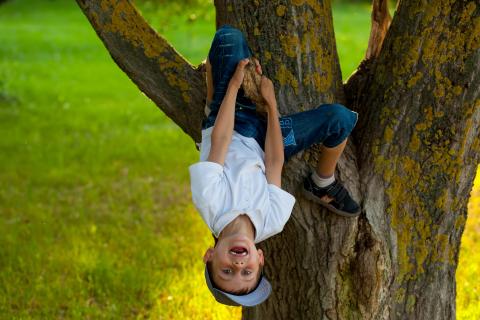 Child hanging upside down from a tree branch.