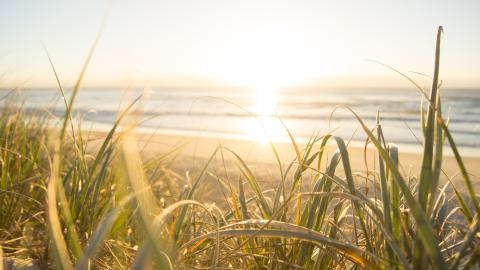 Beach view with setting sun.