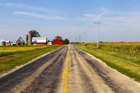 Road through farmland