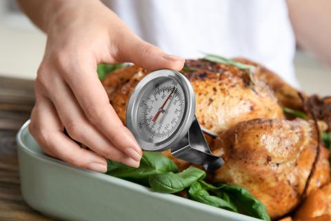Checking internal temperature of whole turkey with meat thermometer