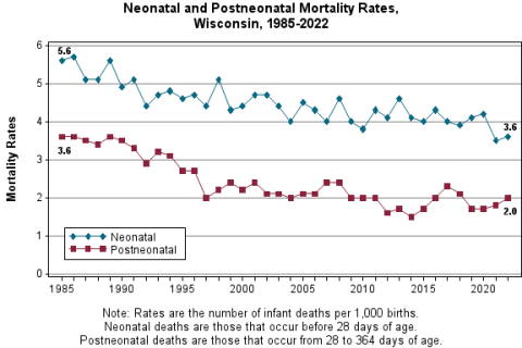 Chart displaying neonatal and postnatal mortality rates in Wisconsin