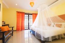 Contemporary bedroom with mosquito netting over bed