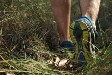 A pair of runner shoes walking through tall grasses
