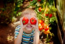 Boy standing by tomato plant holding two tomatoes over his eyes