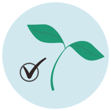 Illustration of a sprouted leaf and a checkmark