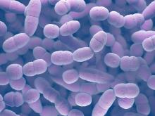 Bacteria infection: Streptococcus pneumoniae.
