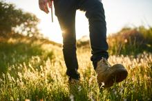 A pair of hiker boots walking in the meadow with sun shining behind