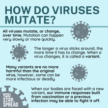 How viruses mutate and why getting vaccinated can reduce virusability to keep mutating