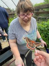 A person wearing pink glasses and a grey shirt looking at an orange and brown-colored butterfly that is resting on a white stick someone who is out of frame is holding