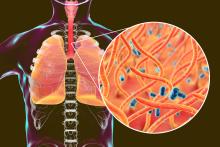 Illustration of the pertussis bacteria