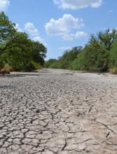 A dry river bed caused by drought
