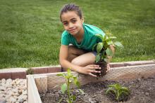 A child holding a plant kneeling by a raised garden box