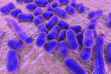 Closeup of Acinetobacter bacteria