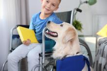 Child sitting in a wheelchair with a therapy dog sitting at his side