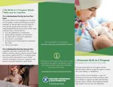 The Birth to 3 program works with and for families: P-02928