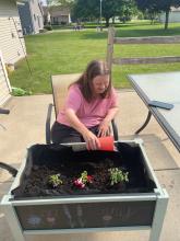 Person in a pink shirt and dark grey pants watering plants in a raised flower bed using a red cup while sitting on a chair outdoors